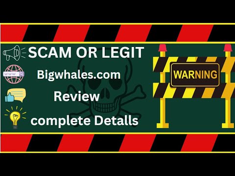Bigwhales Review – Bigwhales.com Scam or Safe?